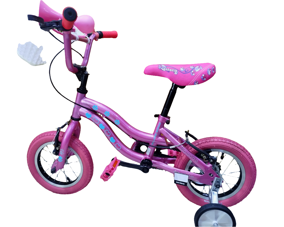BICICLETA RIN 12
